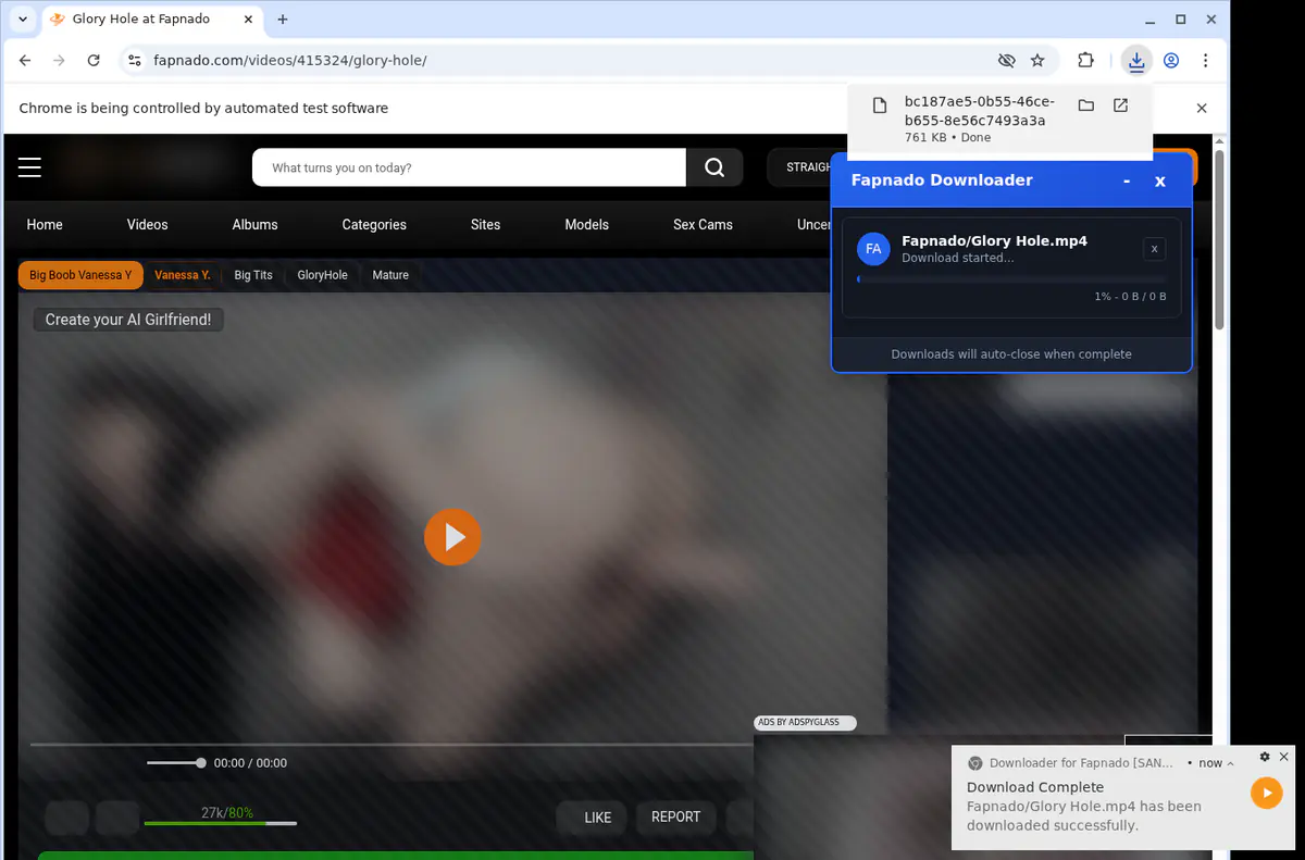 Fapnado Video Downloader screenshot 2
