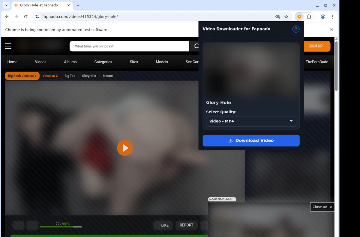 Fapnado Video Downloader screenshot 3